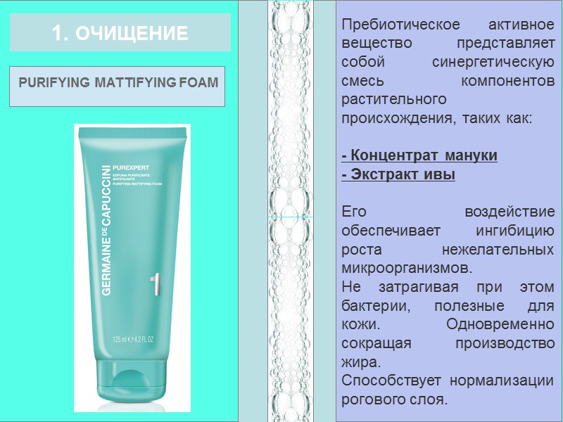 Пребиотическое активное вещество представляет собой синергетическую смесь компонентов растительного происхождения, таких как:  -